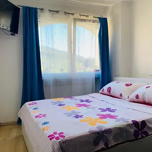  Apartment Alina