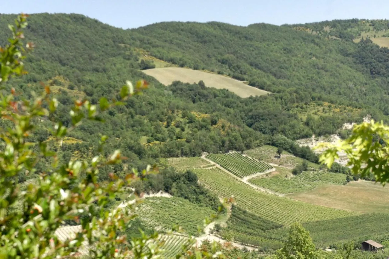 Camia Villa Torrazza Coste Italy